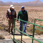 captura-de-pantalla-2016-11-16-a-las-10-18-39