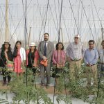 WhatsApp Image 2018-04-20 at 19.22.59-1