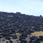 IMG-20181001-WA0014