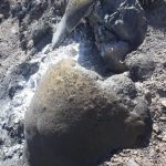 IMG-20181001-WA0015