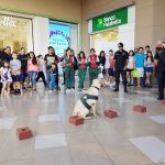 ok IMG-20181123-WA0104