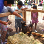 Captura de pantalla 2019-01-21 a la(s) 12.22.49