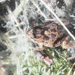 IMG_20190412_102743