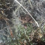 IMG_20190412_102743