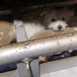 PHOTO-2019-08-27-21-51-13