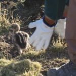 IMG-20191125-WA0009